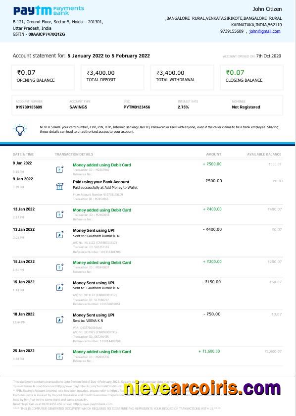 India Paytm Payments bank statement Word and PDF, 2 pages, version 2